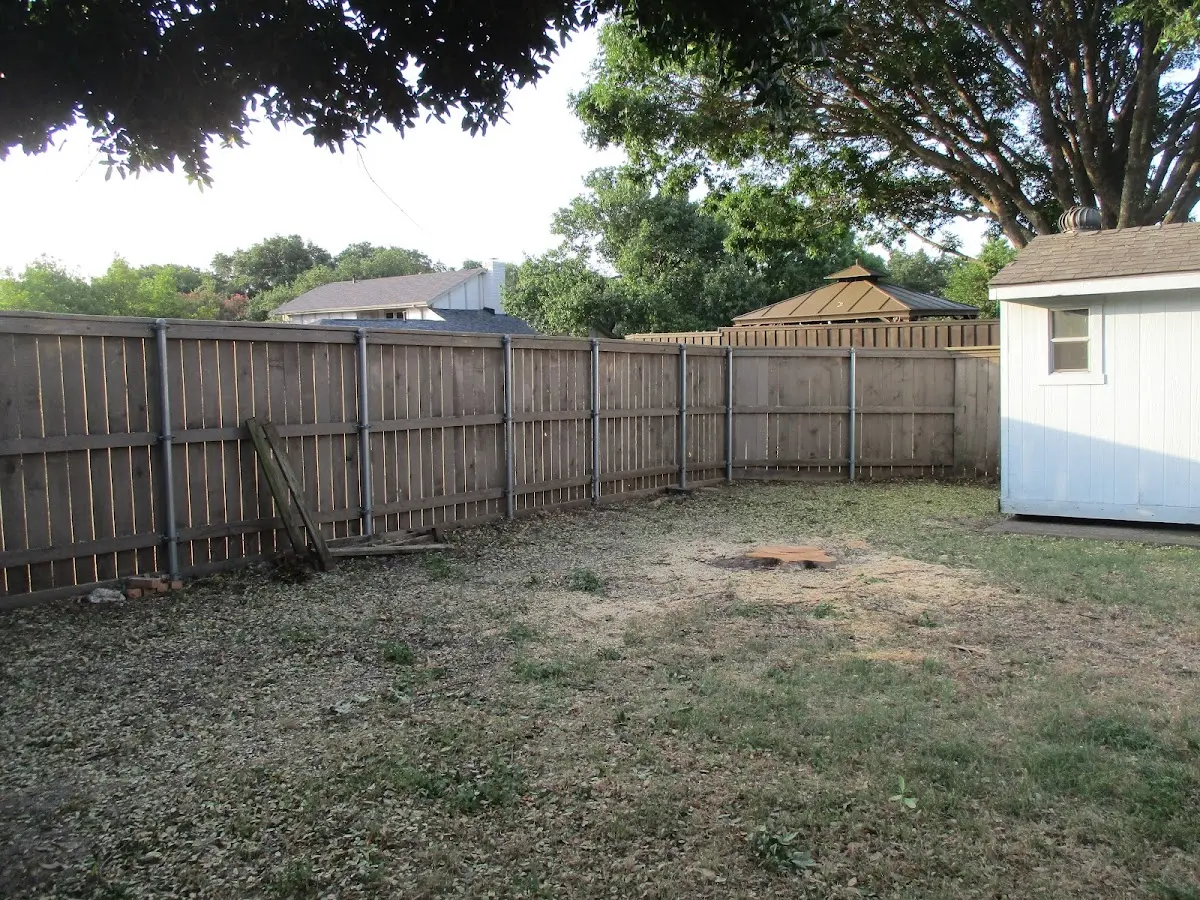 Cleared yard after professional tree removal in Remington